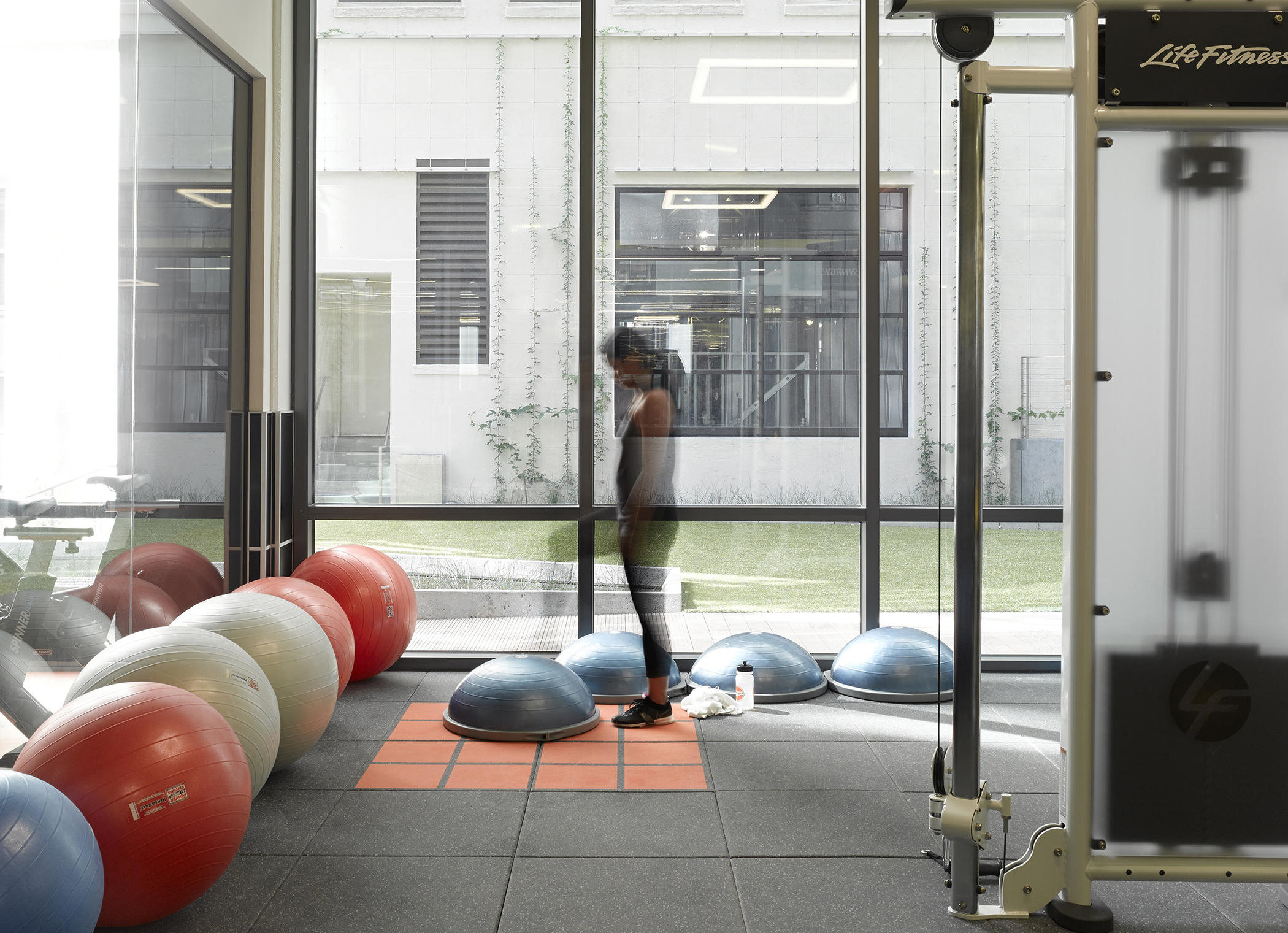 Fitness SF