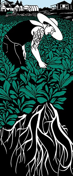 Image Text Row Image