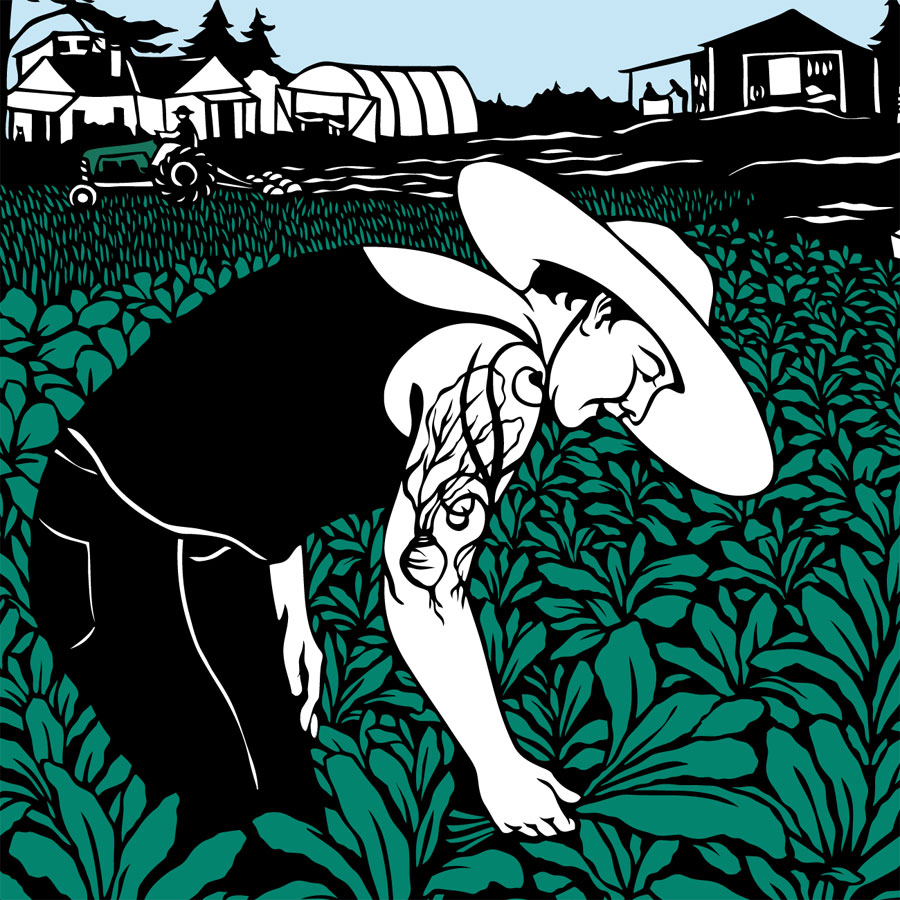 Image Text Row Image